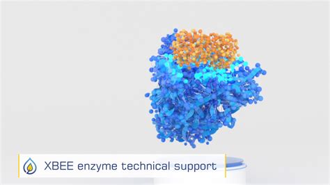 xbee enzyme.